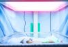 Neonatal Sepsis: Causes, Symptoms & Treatment