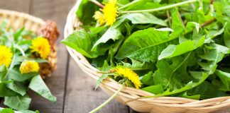 15 Simple & Reliable Homemade (DIY) Pregnancy Tests HOMEMADE PREGNANCY TESTS