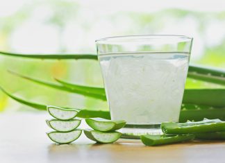 Consuming Aloe Vera Juice during Pregnancy A glass of fresh aloe vera juice