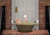 How to Deliver a Baby at Home HOME BIRTH
