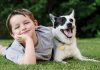 Dog Information for Kids – 42 Facts Your Child Must Know A little boy paying with his pet dog