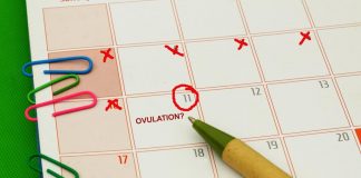 LH Surge – Why Is It Important for Getting Pregnant? LH Surge for getting pregnant