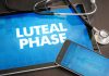 Luteal Phase – What It Is and It’s Relation to Pregnancy Luteal phase