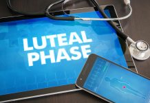 Luteal Phase – What It Is and It’s Relation to Pregnancy Luteal phase