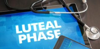 Luteal Phase – What It Is and It’s Relation to Pregnancy Luteal phase