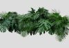50 Interesting Plant Facts for Kids 50 Interesting Plant Facts for Kids