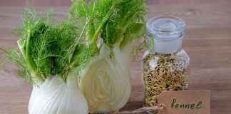 Fennel for Babies – Benefits, Precautions and Recipes Fennel for Babies - Benefits, Precautions and Recipes