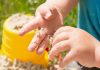 Sensorimotor Stage of Development – How Parents Can Help Sensorimotor Stage of Development - How Parents Can Help