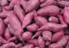 Eating Yams During Pregnancy Eating Yams during Pregnancy