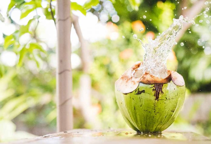 Coconut Water During Pregnancy