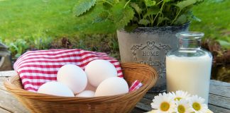 When & How to Introduce Egg for Babies When & How to Introduce Egg for Babies
