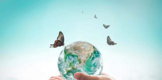 World Oceans Day – Interesting Facts and Activities for Kids